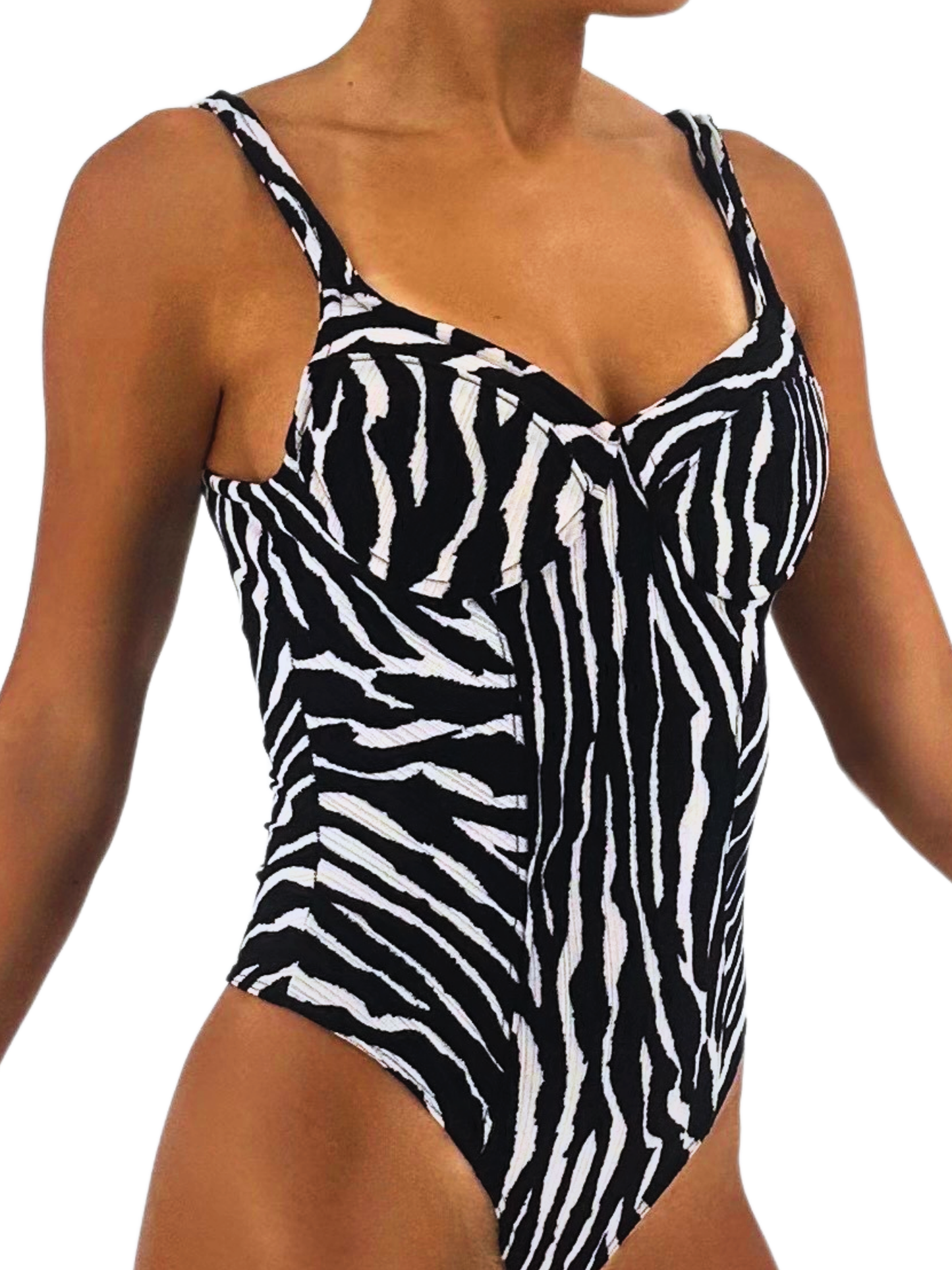CEBRA BODY