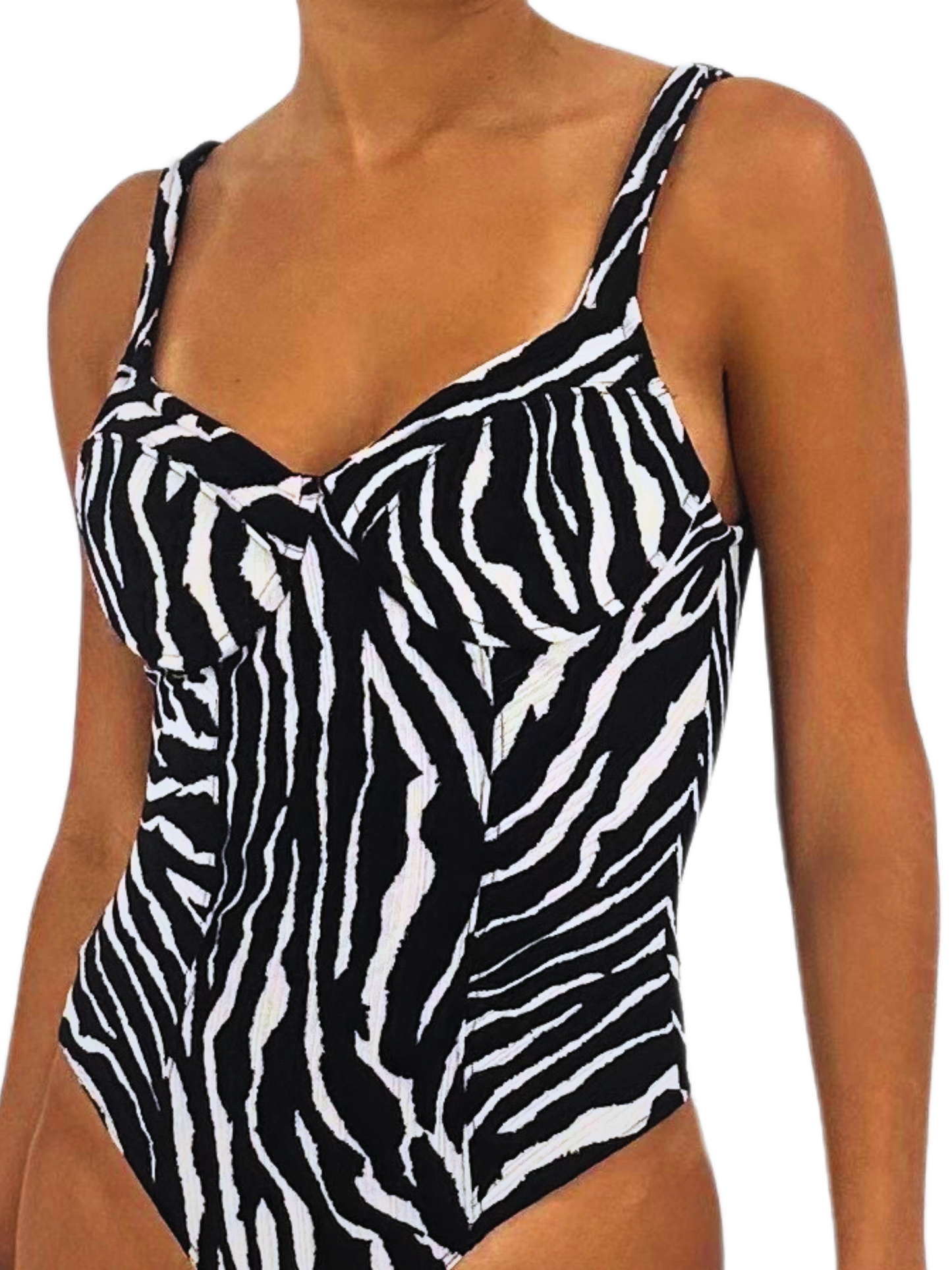 CEBRA BODY